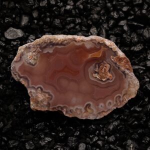 Electra White marble