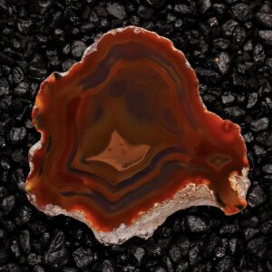 Calacatta Lincoln White Marble